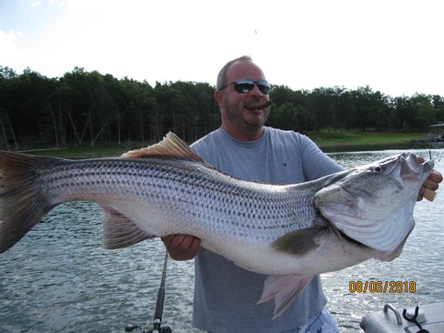 Nice Striped Bass